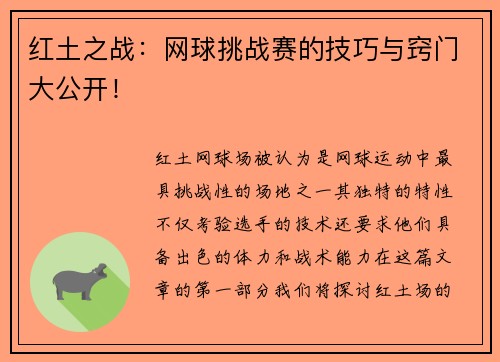 红土之战：网球挑战赛的技巧与窍门大公开！